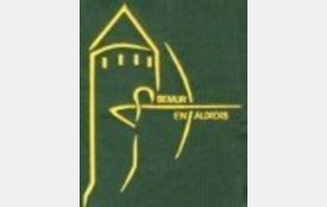 TAE Semur (Fita+ Fed X21)