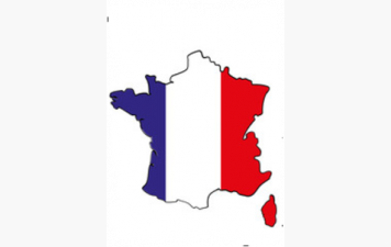 Championnats de France TAE par catégories : un titre national et de nombreuses médailles pour la Bourgogne Franche-Comté