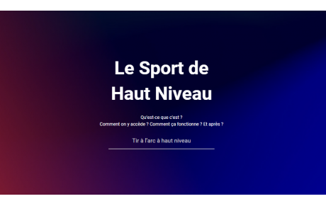 Formations thématiques par internet (visio-conférences )
